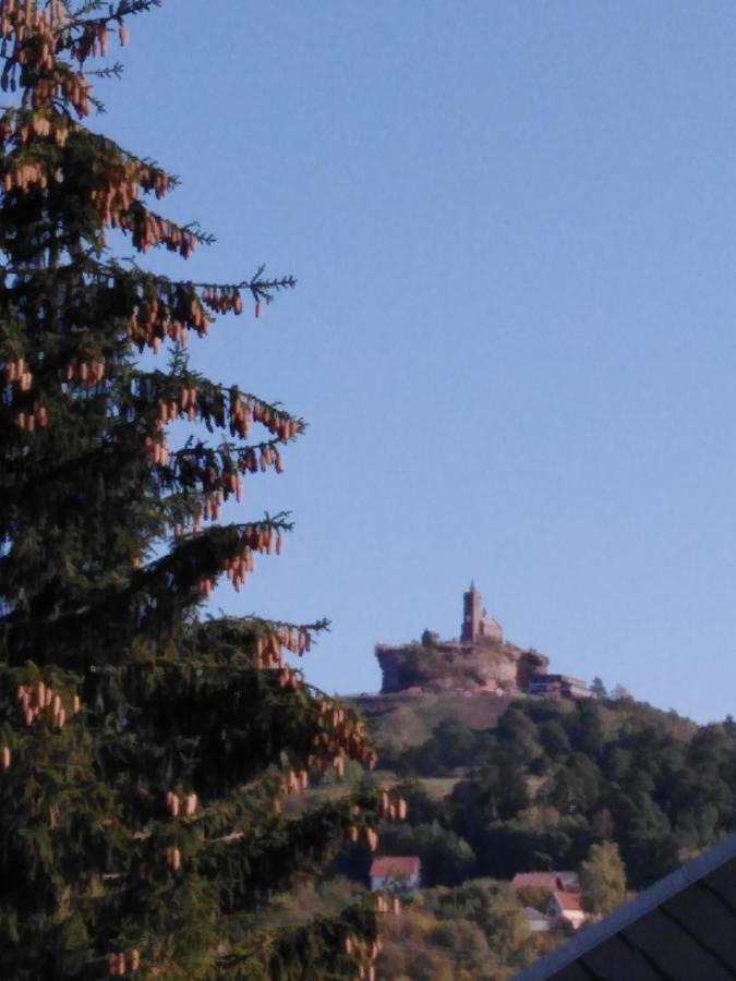 Le Gite Du Bucheron Dabo Exterior photo